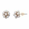 LC Lauren Conrad Cluster Stud Earrings
